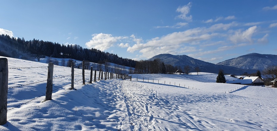Winterwanderweg Kraggenau