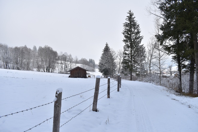 Winterwanderung Scherenauer Runde