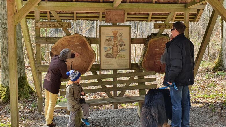 IGH-59 Kinder staunen über die Holzscheiben und das Alter der Bäume im Baumriesenpfad Lindach