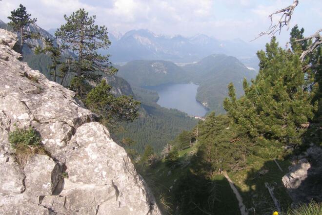 Blick auf den Alpsee