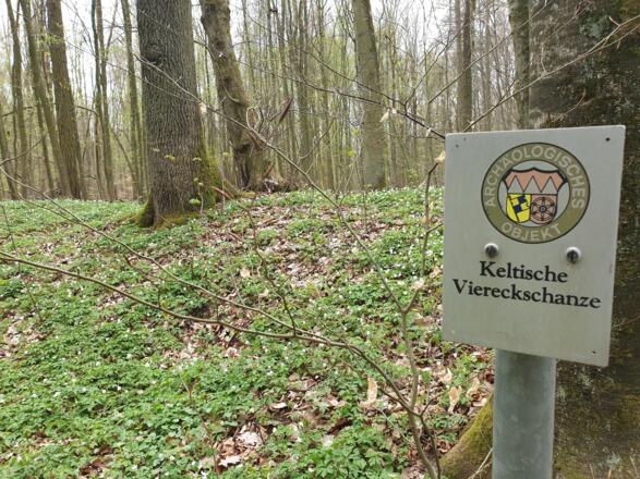 IGH-59 - Keltische Viereckschanzen im Stöckachwald - Zusatzrunde zum IGH-59 über Simmringen