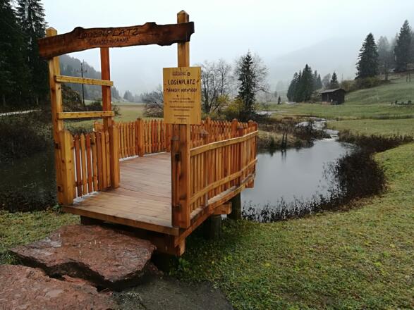 Logenplatz Mäander Hochmoor