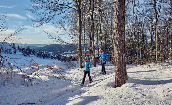 Schneeschuhwandern Silberberg