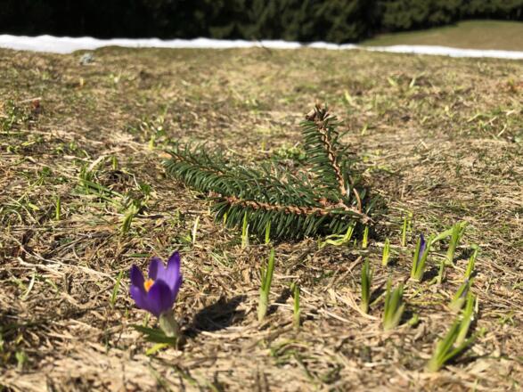Sonntag, 8. April 2018, 14:44 Uhr