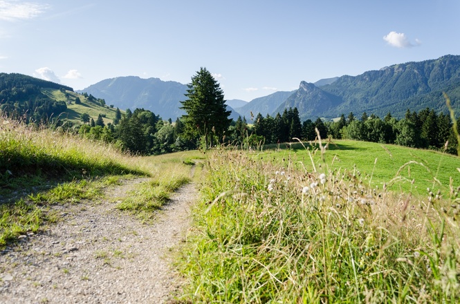 Auf dem Wiesmahdweg Richtung Oberammergau