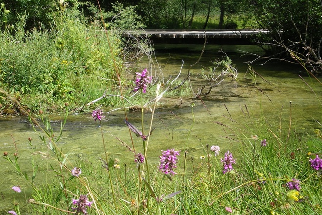 Wanderung - Sonnenweg - Quellbäche der Ammer