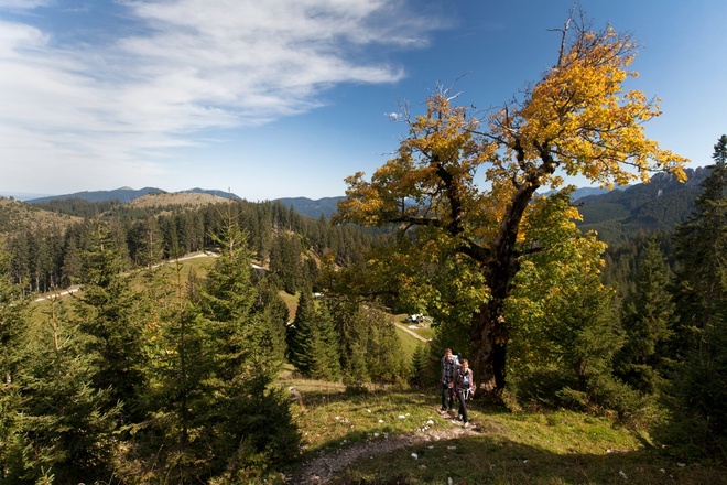 Hüttenwanderung - Seen, Moore und Berge (2.Etappe von 3)