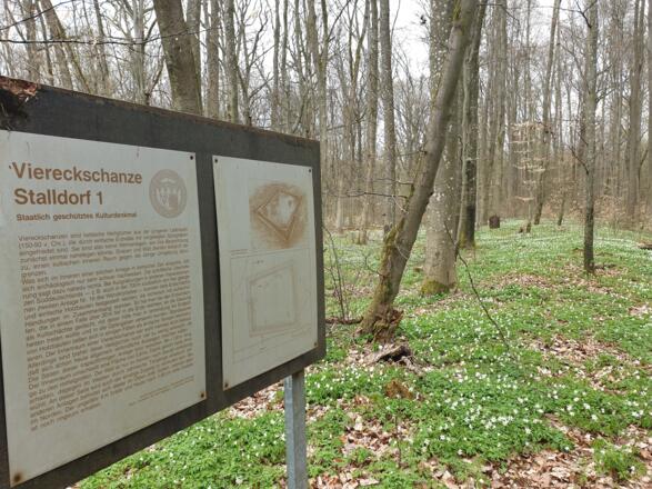 IGH-59 Extratour vom Baumriesenpfad Lindach bei Bernsfelden nach Simmringen vorbei an keltischen Viereckschanzen