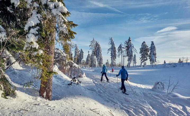 Schneeschuhwandern Silberberg