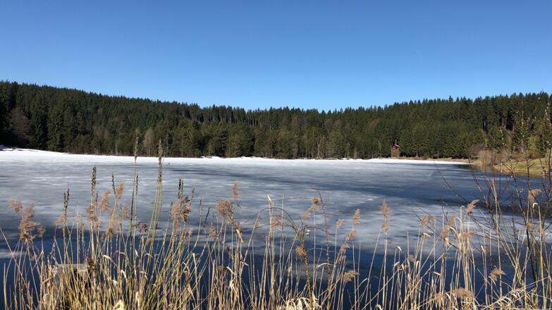 Eschacher Weiher im Frühjahr