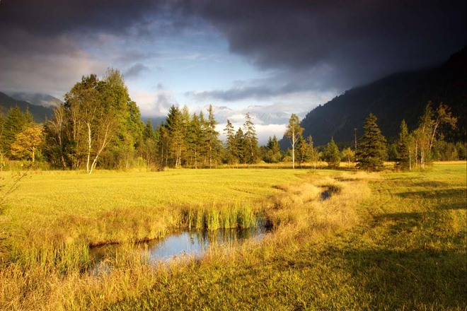 Wanderung durchs Weidmoos