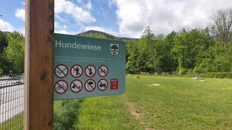 Hundewiese in Puch