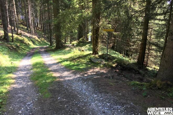 3.30 km - Nach Linkskurve am Wegweiser rechts abbiegen auf Pfad (&quot;Fundner Heimalm&quot;).