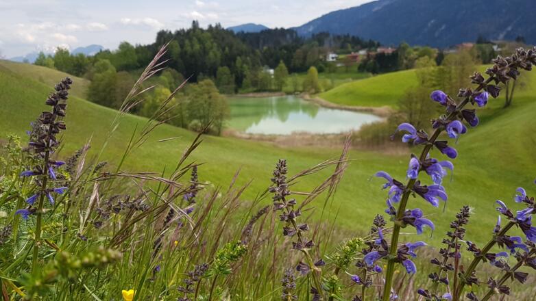 Frauensee Kramsach