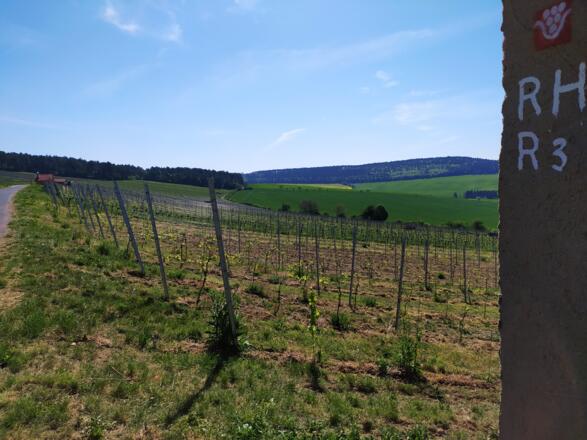 Wegbeschilderung RH