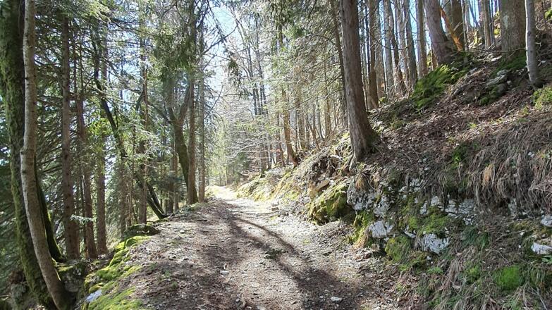Wadern von Tratten auf den Ebersein