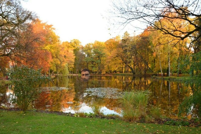 Irlach Weiher im Kurpark Bad Aibling