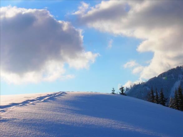 Spuren im Schnee