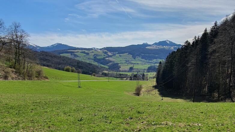 Blick ins Wiestal - Feldweg zum Eberstein
