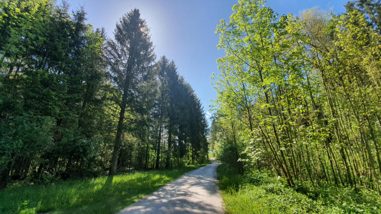 Wanderweg - Dorfrunde