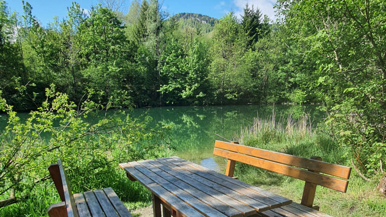 Rastplatz am Teich in Puch