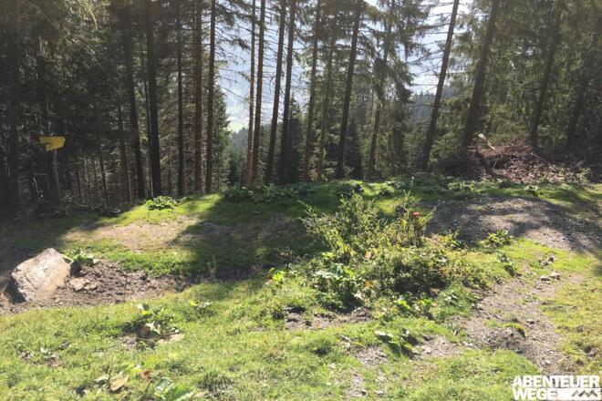 1.50 km - Fahrweg überqueren und am Wegweiser geradeaus über Wiesenpfad bergab (&quot;Fundner Heimalm&quot;).