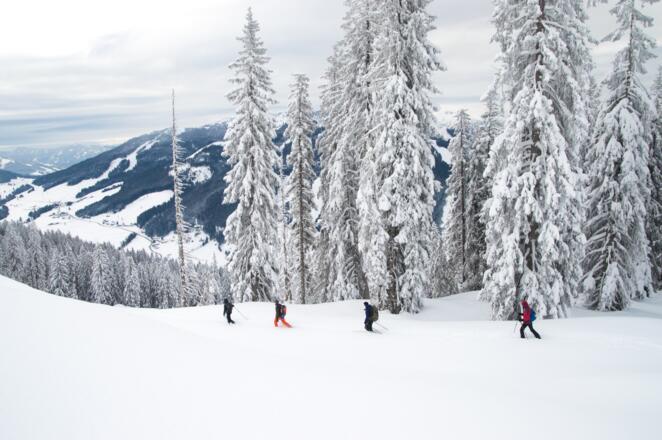 Skitour am Hochkönig