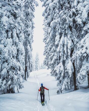 Skitour am Hochkönig