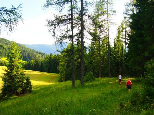 Gemütliche Wanderung am Burheggpalfen