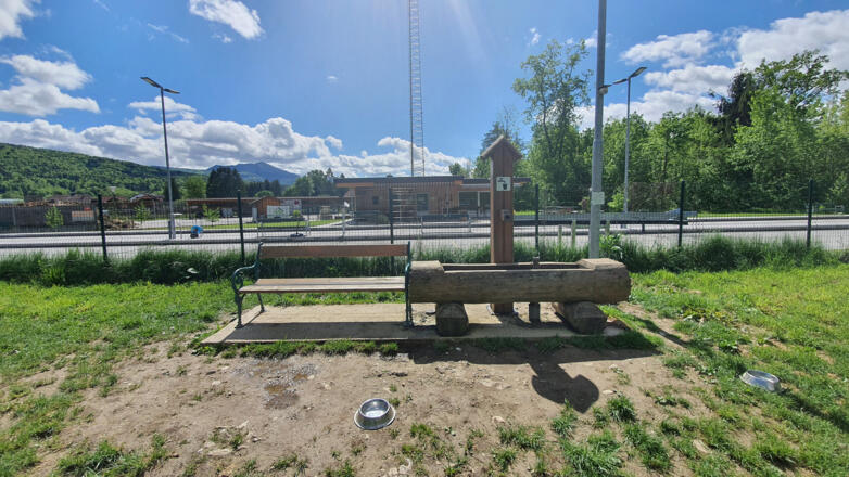 Hundewiese mit Stockbahn im Hintergrund
