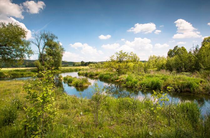 Hürbemündung in Hermaringen