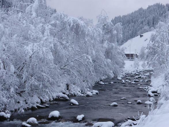 An der Loipe