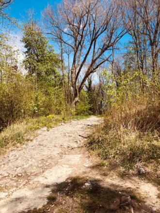 Weg von der Schwelle rauf auf den Fahrradweg