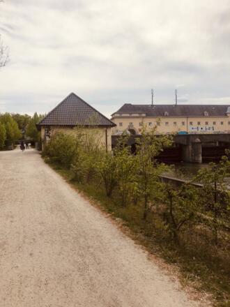 Weg zum Stauwehr Oberföhring