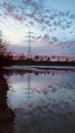 Spiegelung des rosa Sonnenuntergangs am See