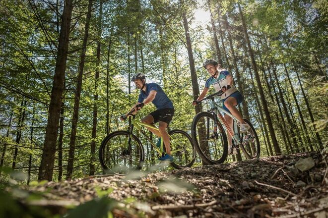 Rad Bike Mountainbike MTB