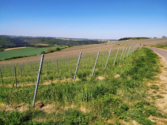 RH Wanderweg