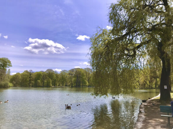 Kleinhesseloher See