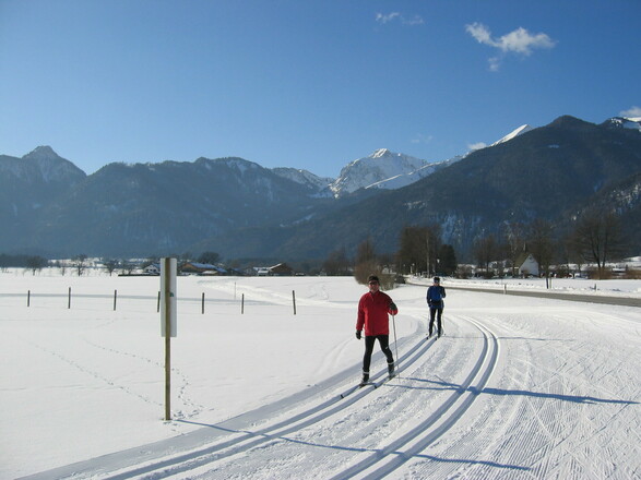 Loip120115_02BreitenstGeigelst