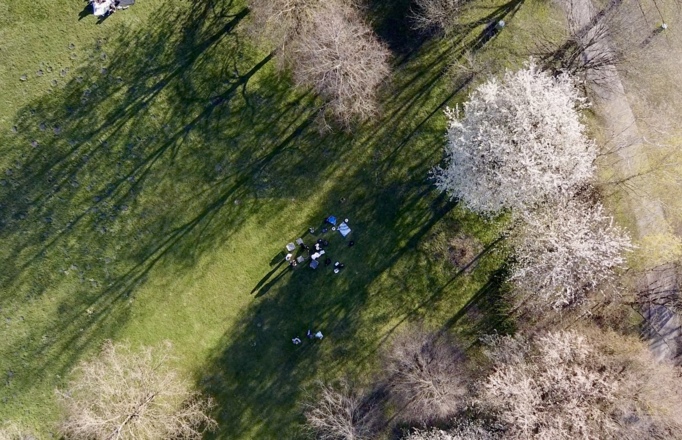 Liegewiese rund um den See, Bäume bieten Schatten zum relaxen