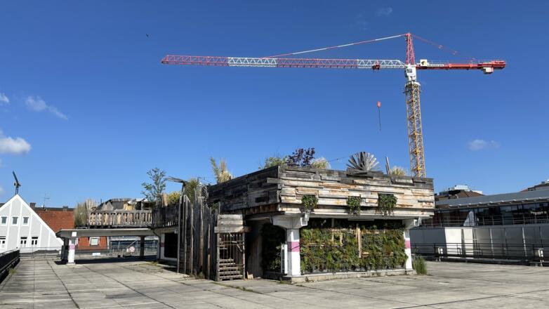 Kulturdachgarten