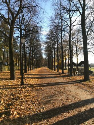 Theresienwiese Allee