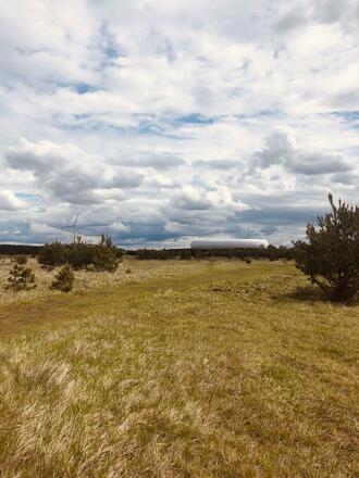 Fröttmaninger Heide: Blick auf die Allianz Arena und das Windrad