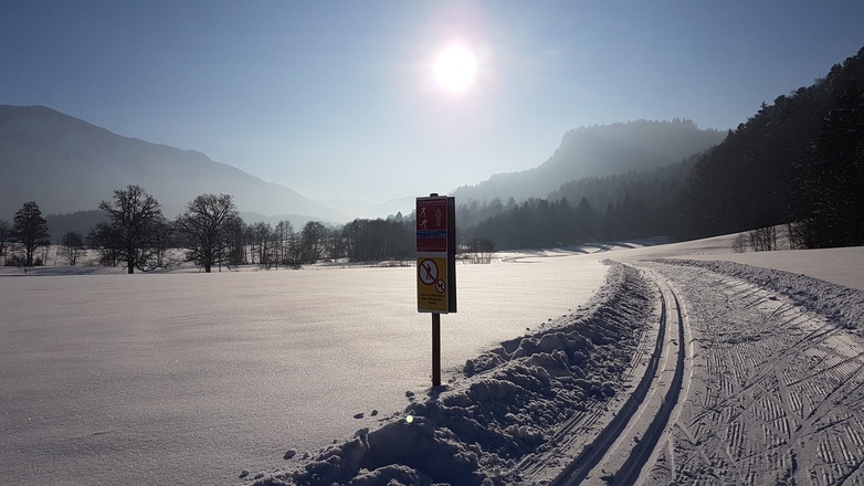 bei Lanzing in Richtung Schleching