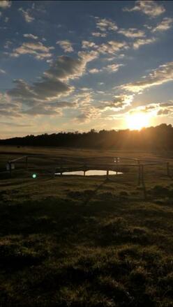 Teich auf der Fröttmaninger Heide beim Sonnenuntergang
