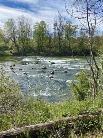 Isar