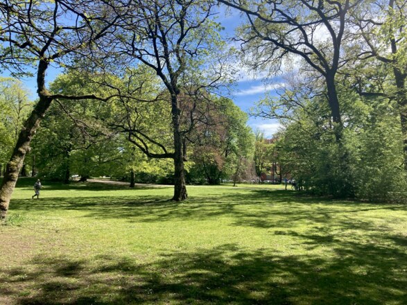 Umgebung der Tischtennisplatten im Luitpoldpark