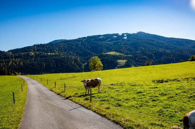 Wanderweg hoch zum Schloss Höch