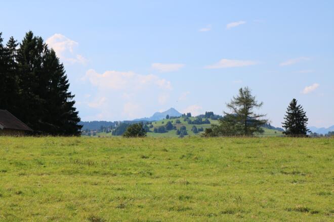 &quot;Auf Seiner Spur&quot; :  Aussicht auf Grünten,  nahe Schwarzenberg