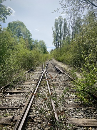 Stillgelegte Bahnsgleise inmitten von Grün